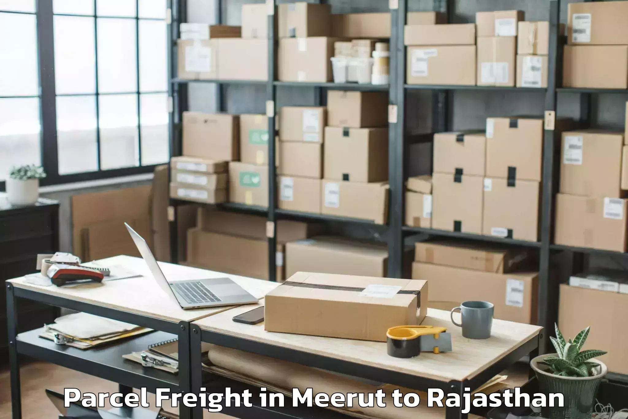 Professional Meerut to Dungarpur Parcel Freight